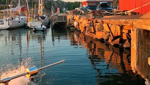 A marina with boats docked, a red building, and a rocky pier. - 9 Person Holiday Home in Vesteroy (Hvaler)