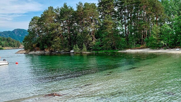 A calm lake with clear water, surrounded by dense forest and a boat on the left. - 5 Person Holiday Home in Torrvikbygd (Kvam)