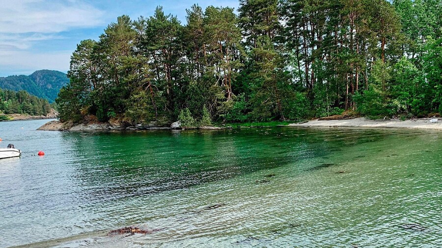 Seaside Serenity in Hardangerfjord-by Traum