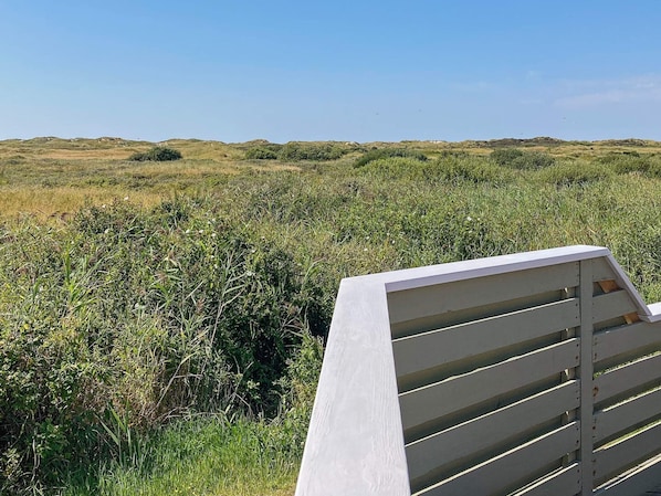 الإطلالة من المنشأة