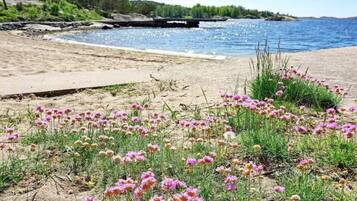 Maison | Vue sur lâeau