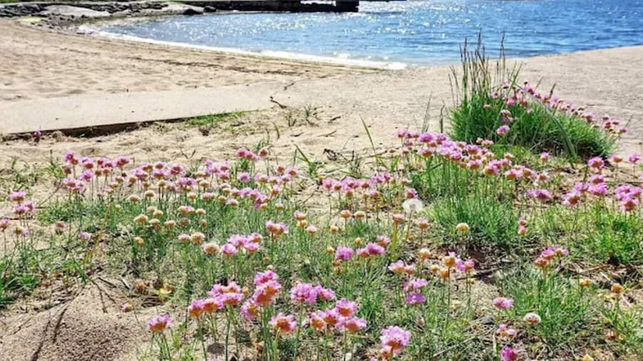 4 Star Holiday Home in Stromstad