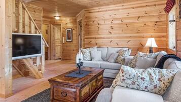 House | Living area | Fireplace