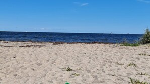 A beach with sand and seaweed, a green object on the sand, and a clear blue sky.