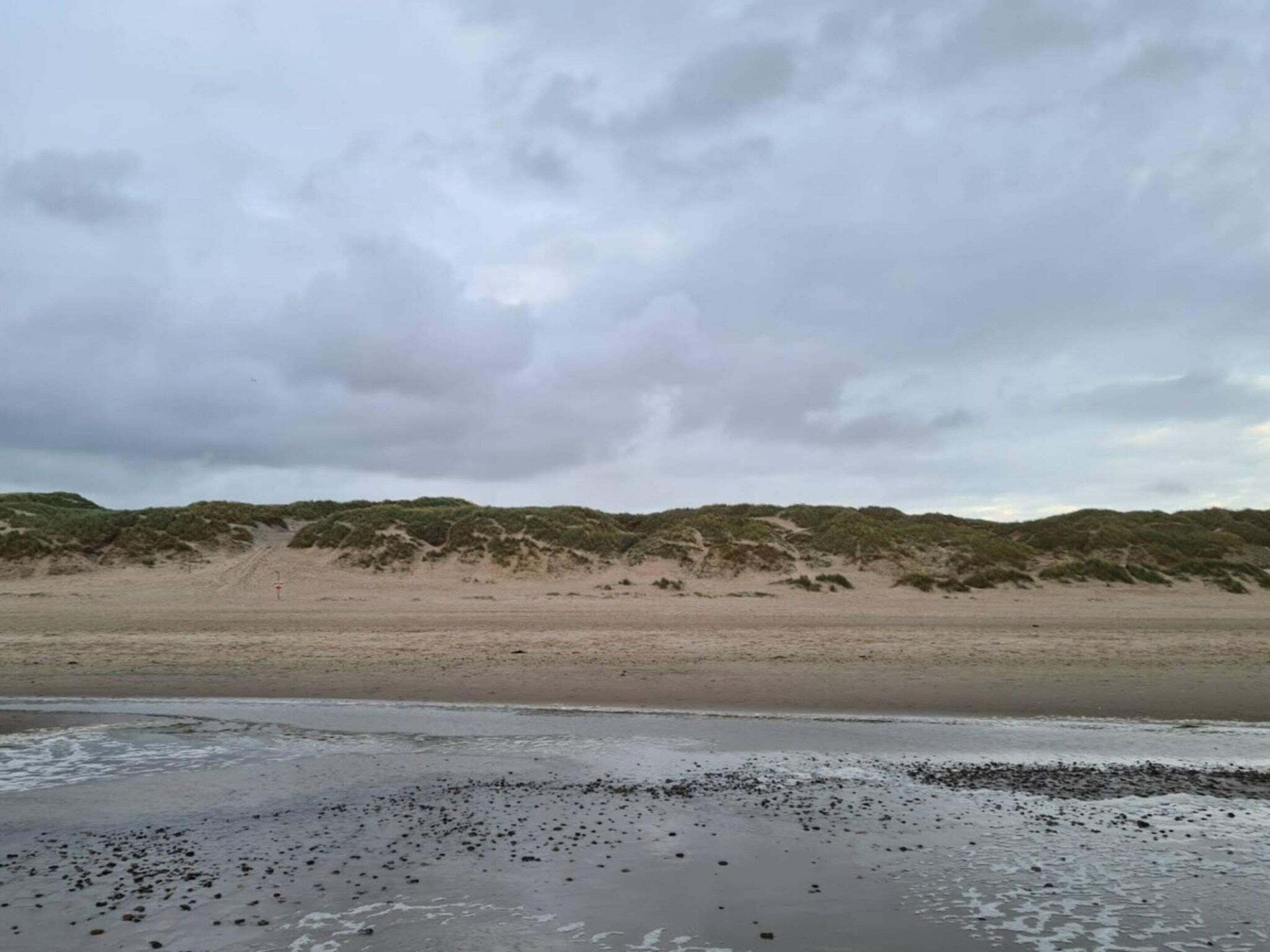 A beach with a sandy shore and a dune in the background.