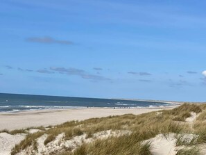 A beach with sand dunes and a clear sky.