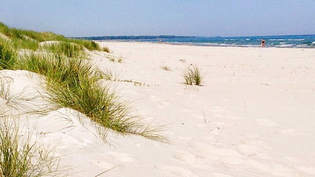 A sandy beach with dunes and a person standing in the distance. - Holiday Home in LÃ¶derup (Loderup)