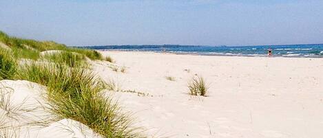 House | Beach