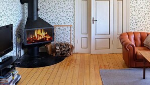 A cozy living room with a fireplace, a television, a leather sofa, and a bookshelf. - Holiday Home in LÃ¶derup (Loderup)