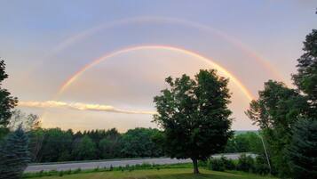 A tree in a grassy area with a rainbow in the background.