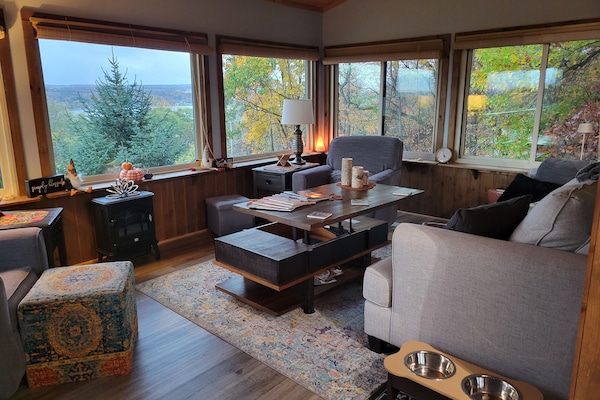 Smart TV, chimenea y libros