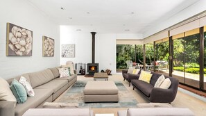 TV, fireplace, Netflix, streaming services