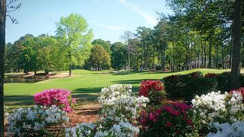 Condo, 1 Bedroom | Kawasan hartanah