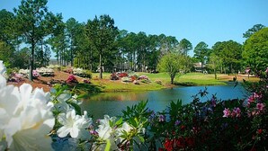 Un campo da golf con uno stagno, circondato da alberi e piante fiorite.