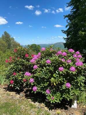 Terrain de l’hébergement