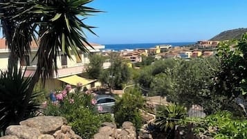Vue aérienne