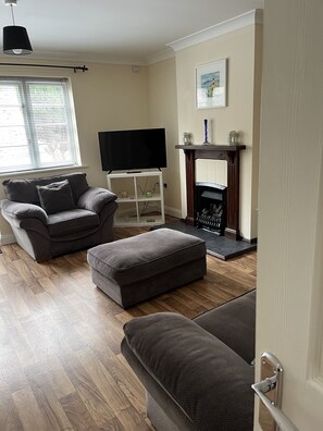 تلفزيون بشاشة مسطحة، مشغل دي في دي