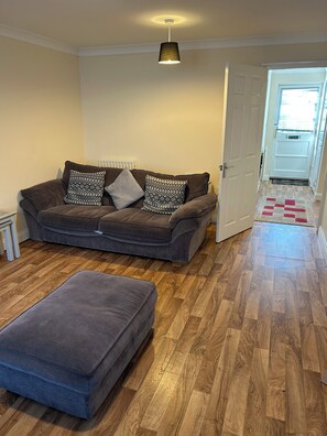 تلفزيون بشاشة مسطحة، مشغل دي في دي