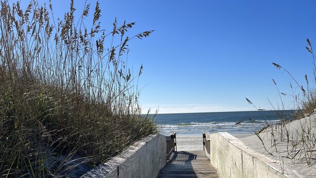 Un camí de fusta que condueix a la platja, envoltat d'alts grams.