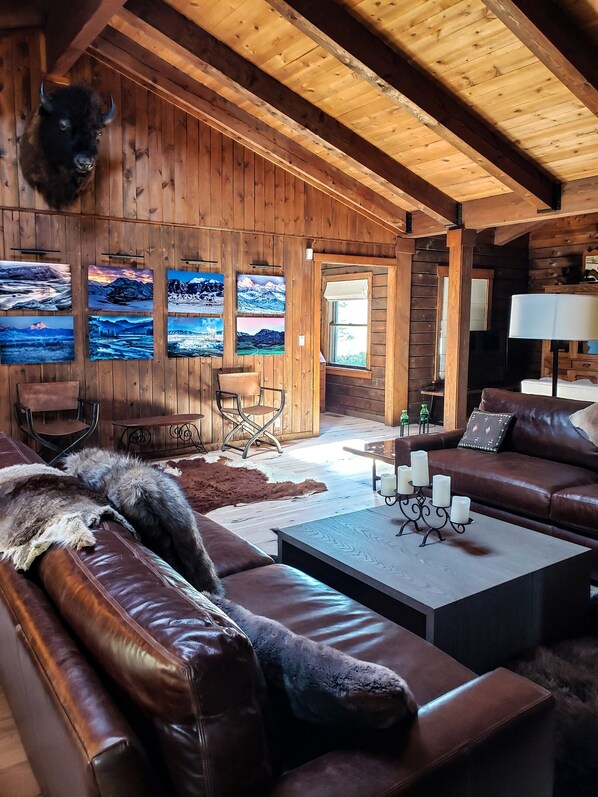 Smart TV, fireplace, DVD player, books