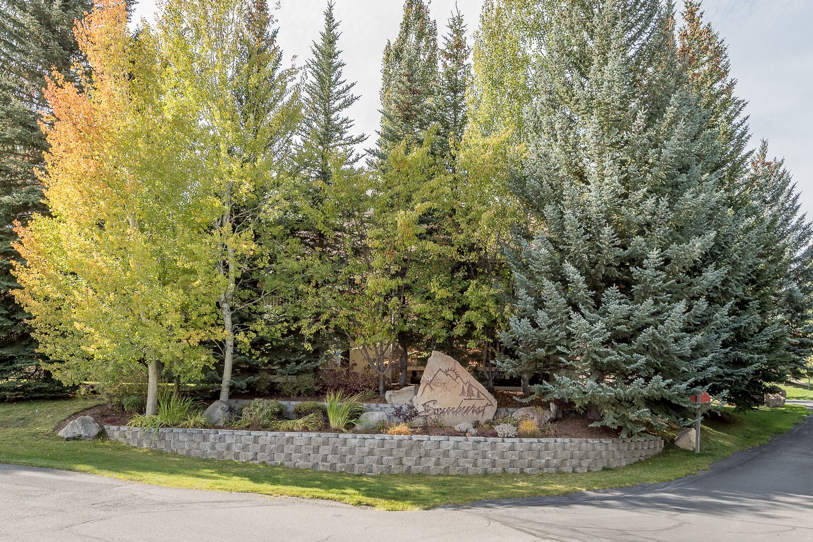 A landscaped area with a variety of trees, a stone wall, and a sign.