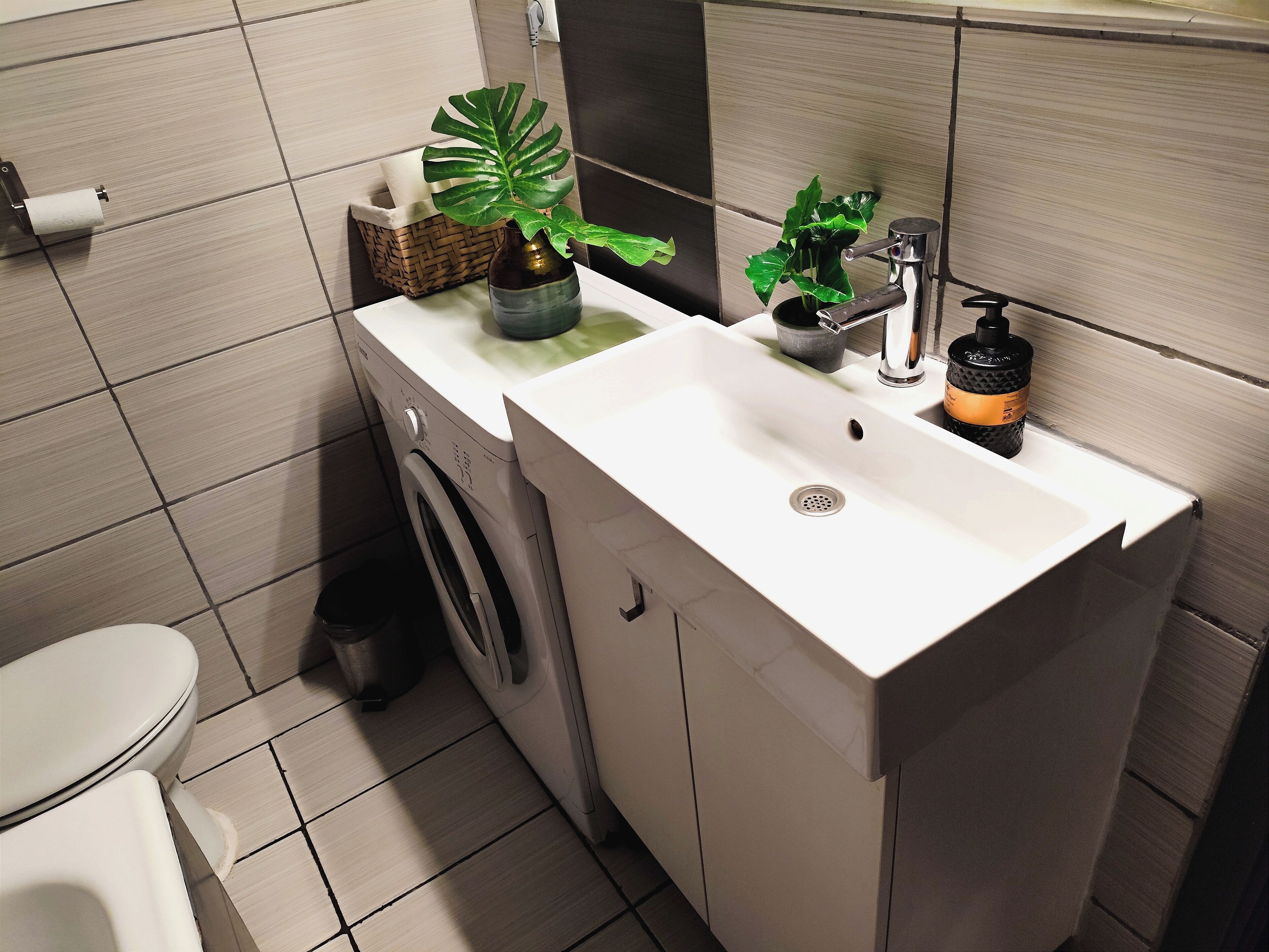 A bathroom with a white sink, a washing machine, a toilet, and a potted plant.