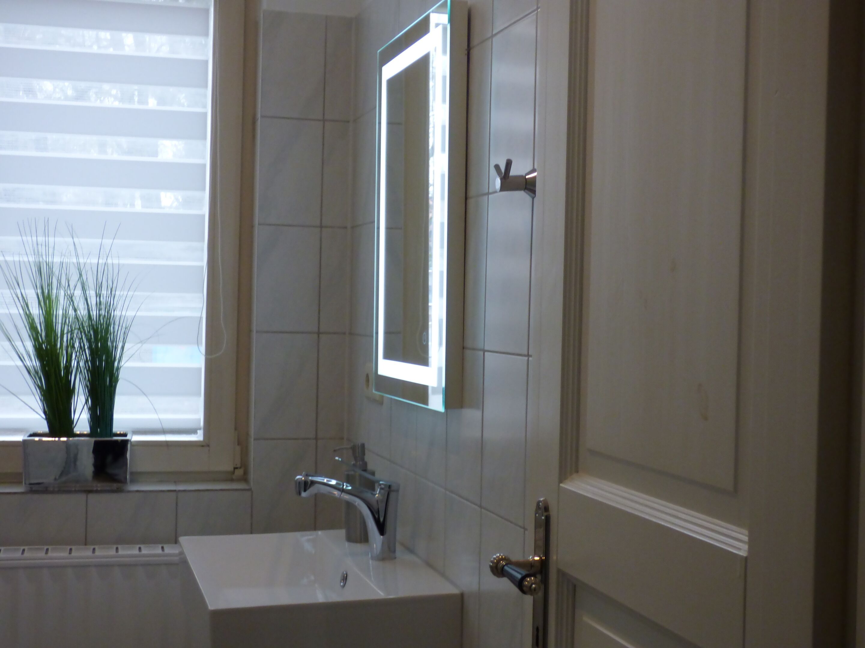 A bathroom with a white sink, a mirror, and a potted plant.