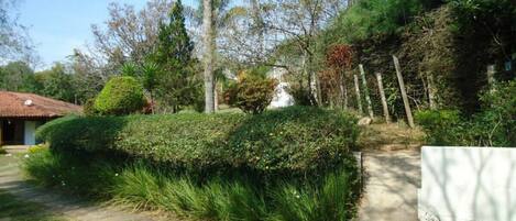 A pathway leading to a house with a red roof, surrounded by lush greenery and trees.