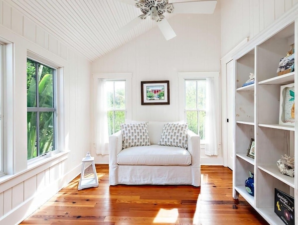 Smart TV, fireplace, books
