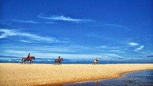 Une plage avec trois chevaux et leurs cavaliers.