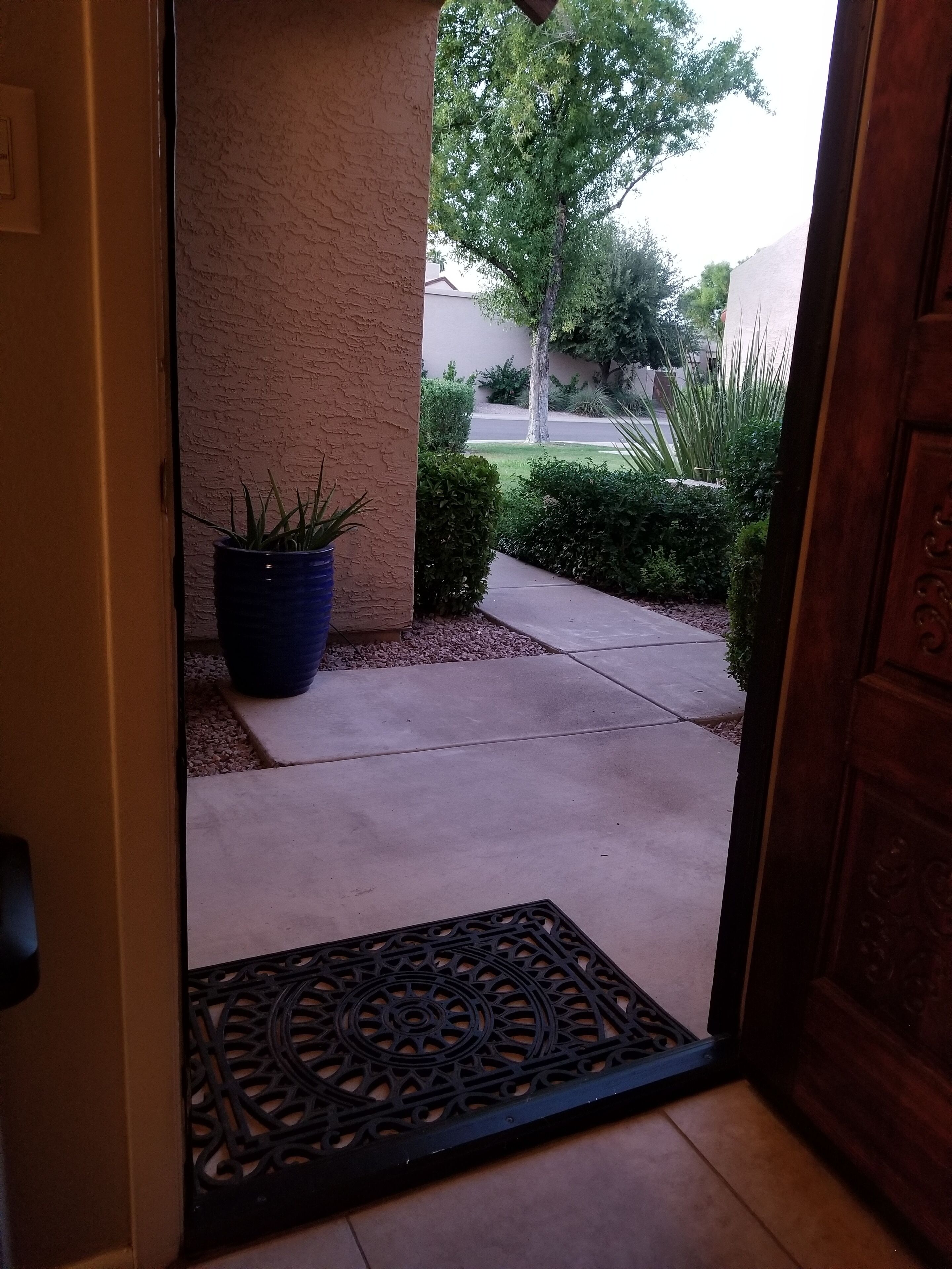 Una puerta que da a un área pavimentada, con una planta en maceta y un umbral metálico decorativo.