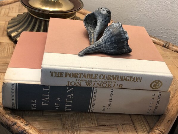 A stack of books with a seashell on top.