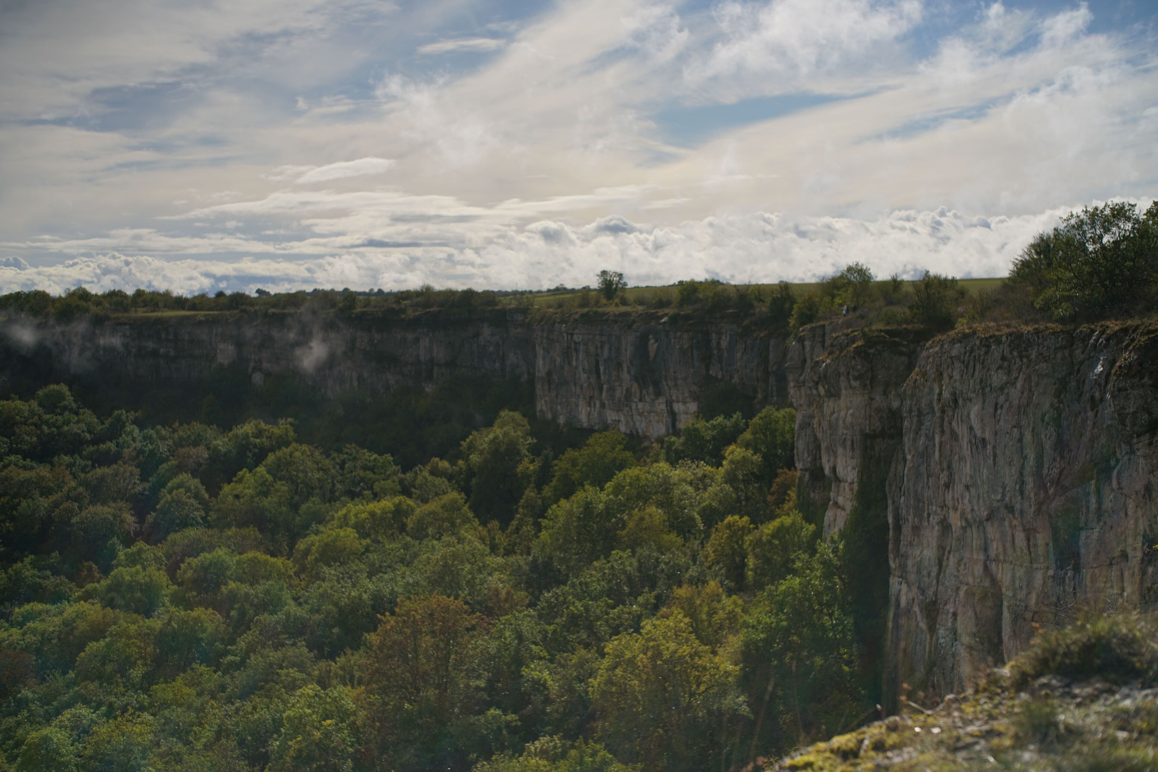 Un paysage naturel caractérisé par une falaise et une forêt dense.