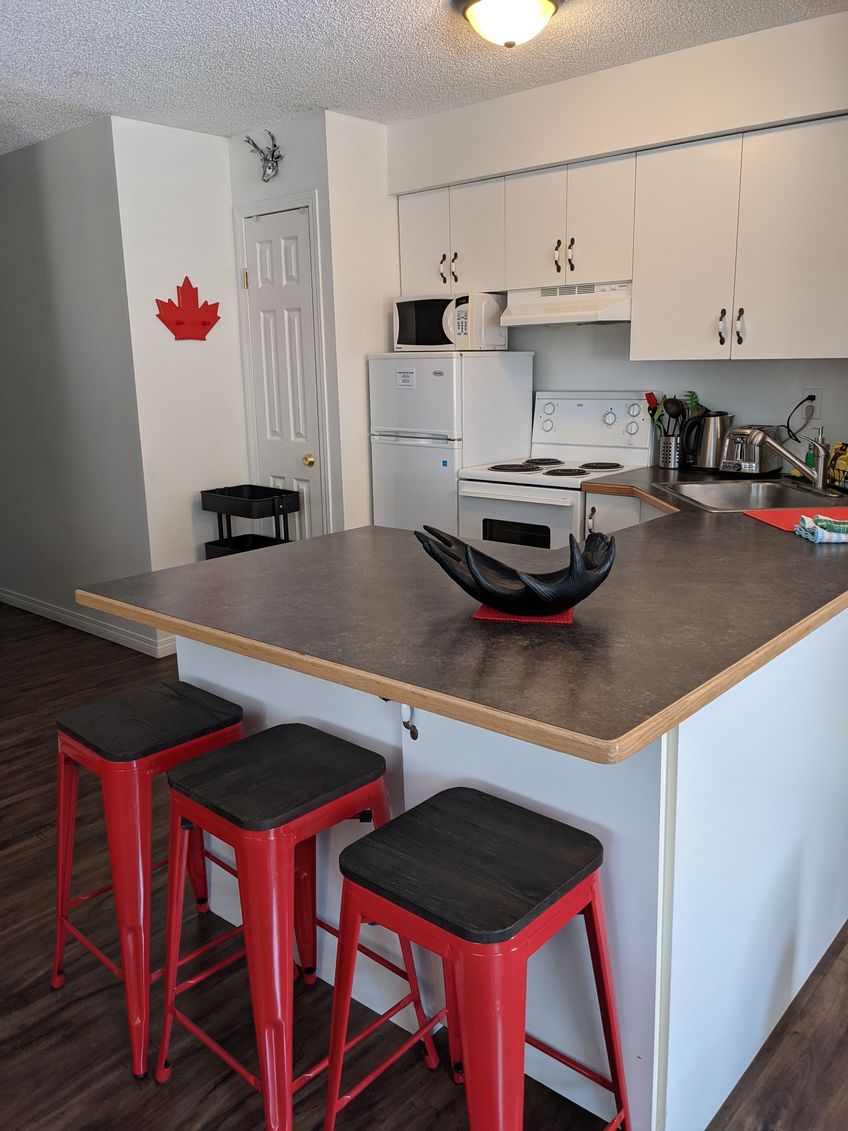OUT OF BOUNDS - 2Bed/1bath condo near Banff Park Gate