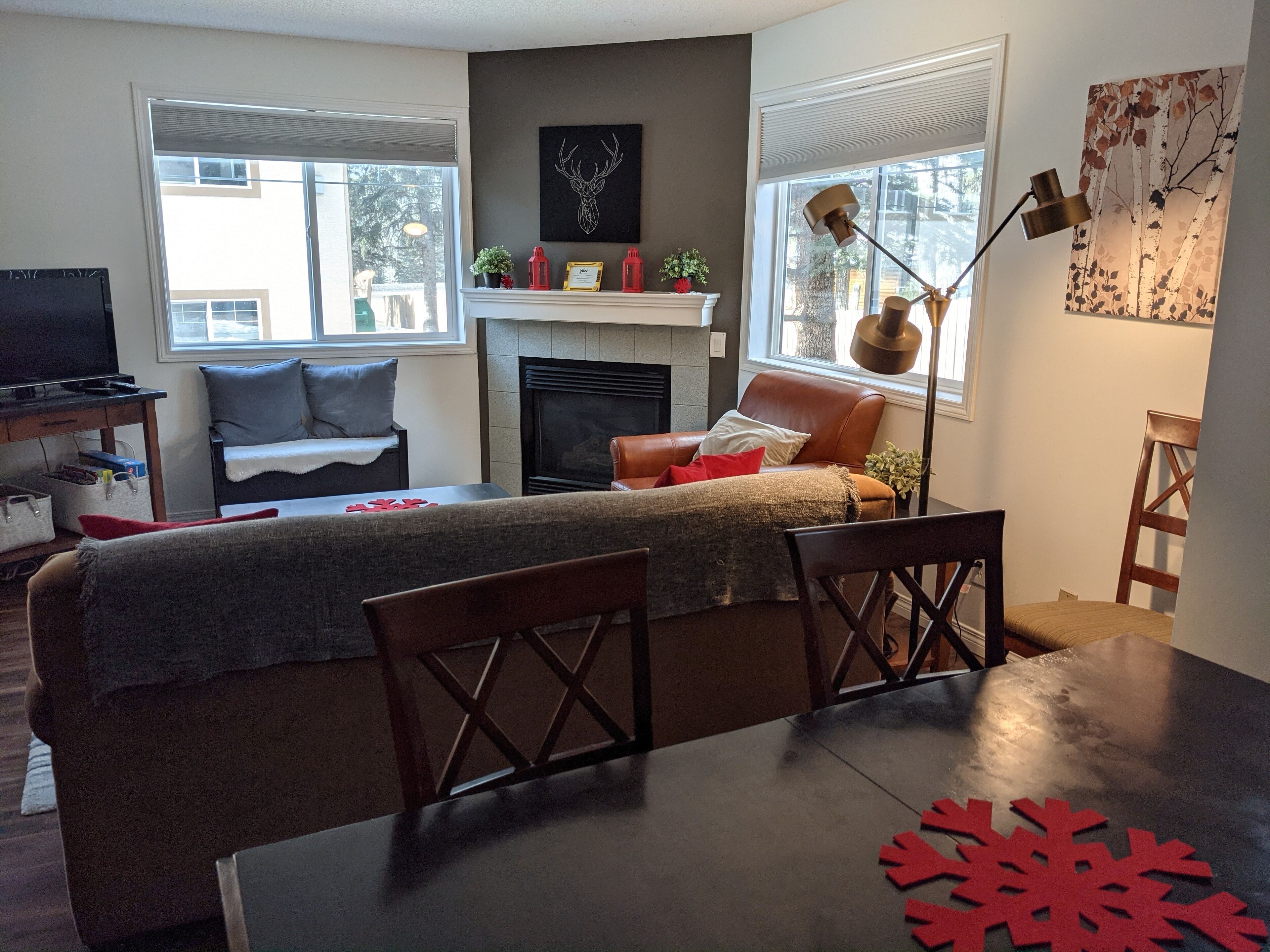 TV, fireplace, books