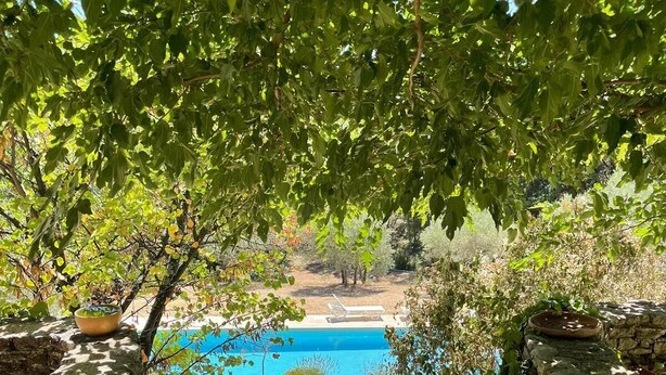 Una escalera de piedra conduce a un área de piscina, rodeada de follaje y muros de piedra.
