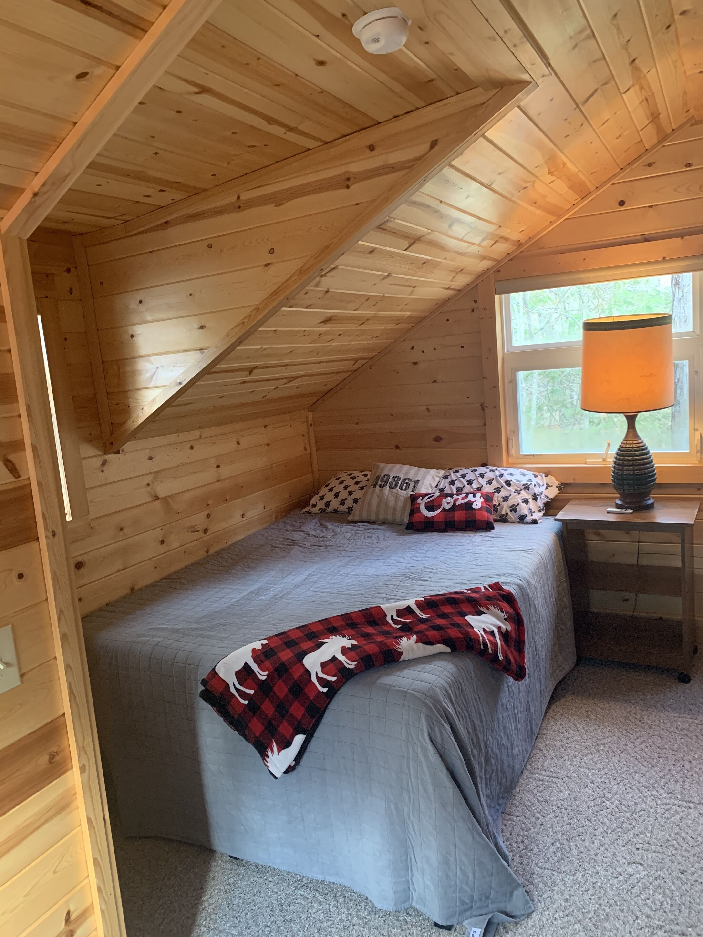 Lake House 100 yards off snowmobile trail #8. 