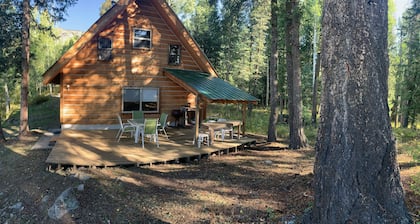 Cozy Cabin in the national forest