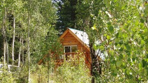 A wooden cabin surrounded by dense trees. - Cozy Cabin in the national forest  (Pagosa Springs)