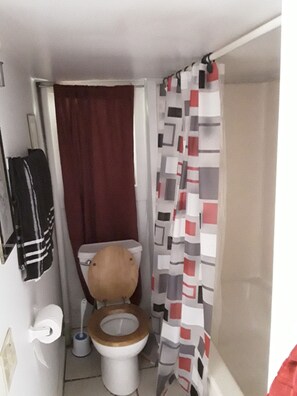 Bathroom - 2 Bedroom apartment in Randolph Village VT (Randolph)