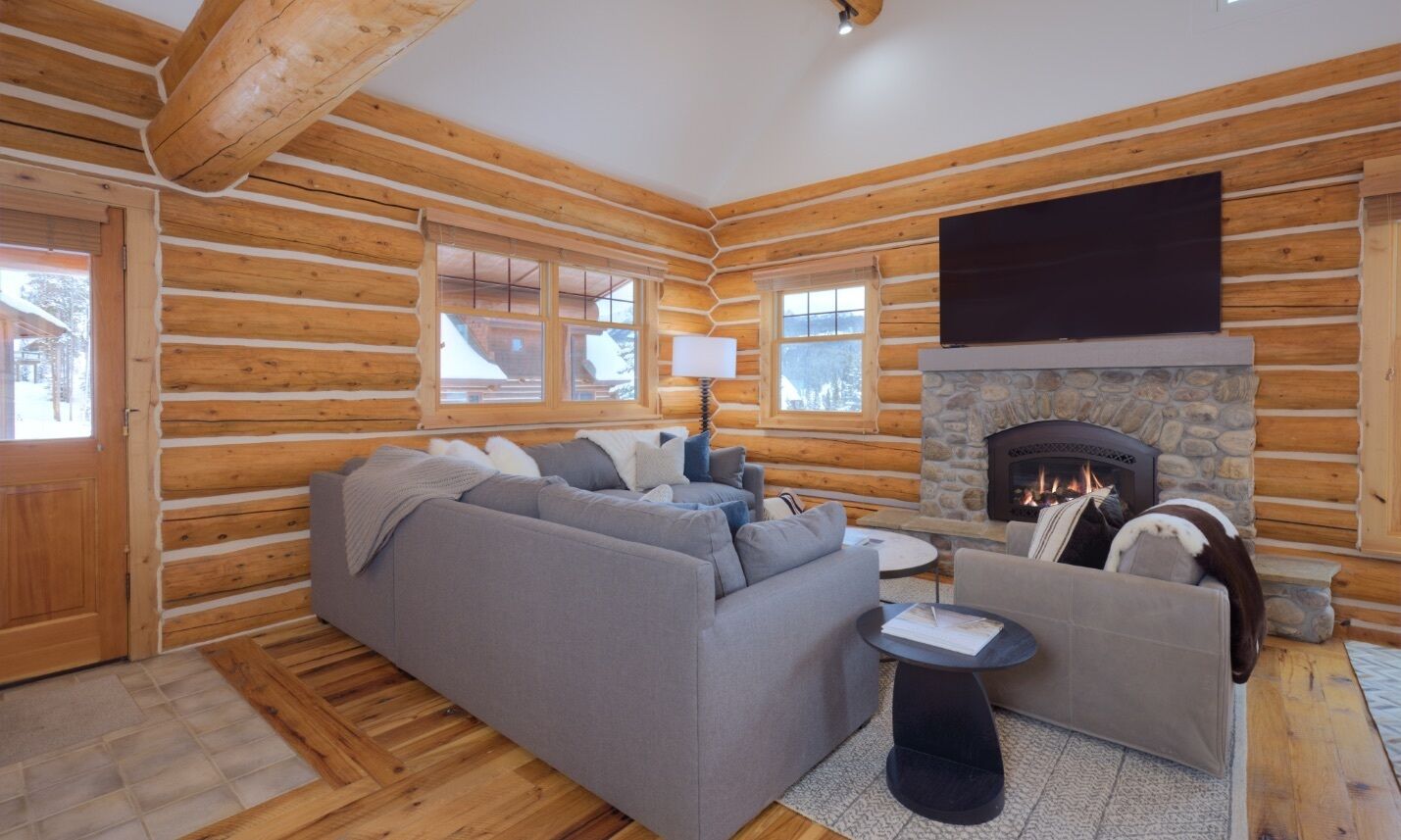 电视、壁炉、电子游戏、立体声音响