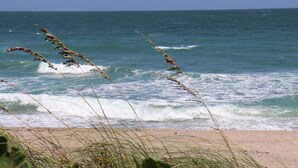 Une plage avec des vagues et des algues au premier plan.