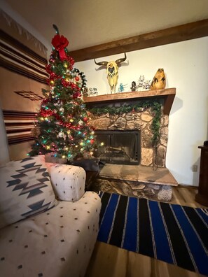 Televisión, chimenea y libros 