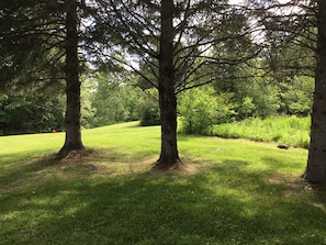 A grassy area with trees and a path. - Country Haven (Whitefield)