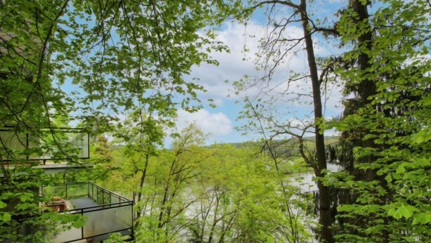 A modern treehouse with a glass floor, surrounded by lush greenery and a river.
