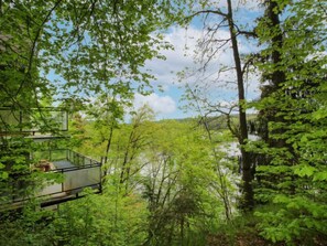 Ein modernes Baumhaus mit Glasboden, umgeben von üppiger Vegetation und einem Fluss.