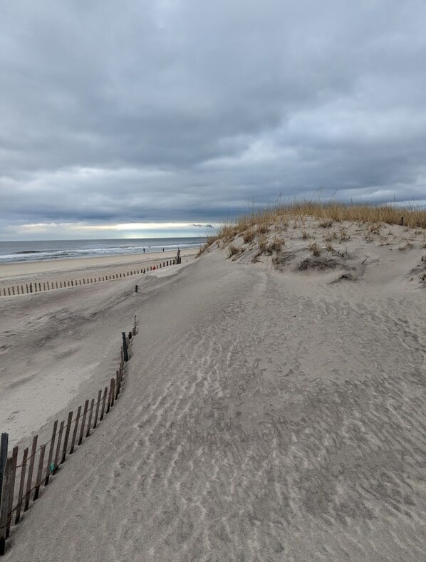 A sandy beach with a wooden fence and dunes. - Tiny Home Private, Students, Nurses, Tech (Bay Shore)