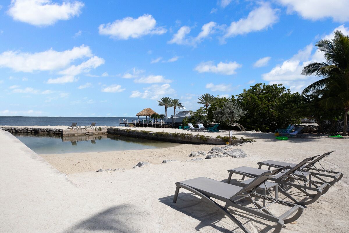 Fantastic Holiday Spot! 2 Relaxing Units, Free Parking, Pool, Pet-friendly!