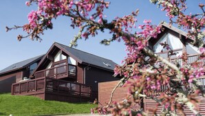 Una cabaña de madera con balcón, rodeada de un césped y flores rosadas en flor.