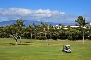 Ein Golfplatz mit Golfwagen, Palmen und einem Gebäude im Hintergrund.
